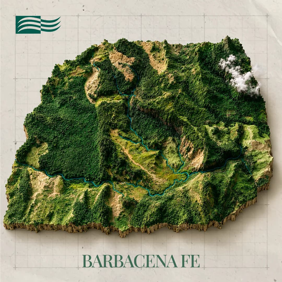 Vista aérea do Projeto Barbacena Fe