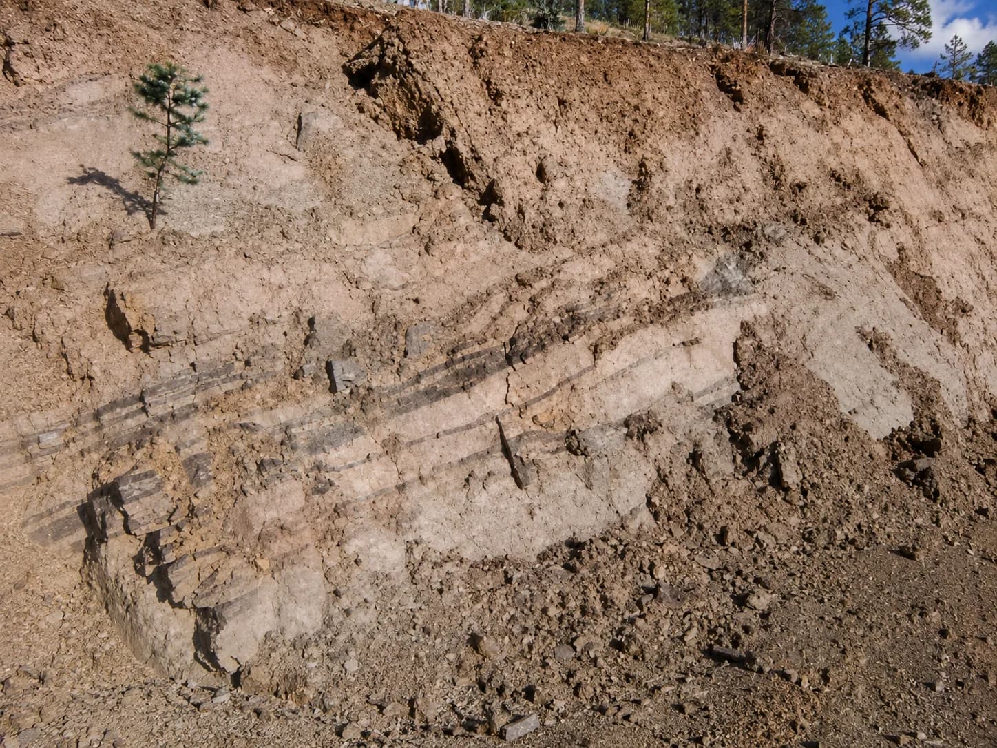 Itatiaiuçu project, gallery image 1