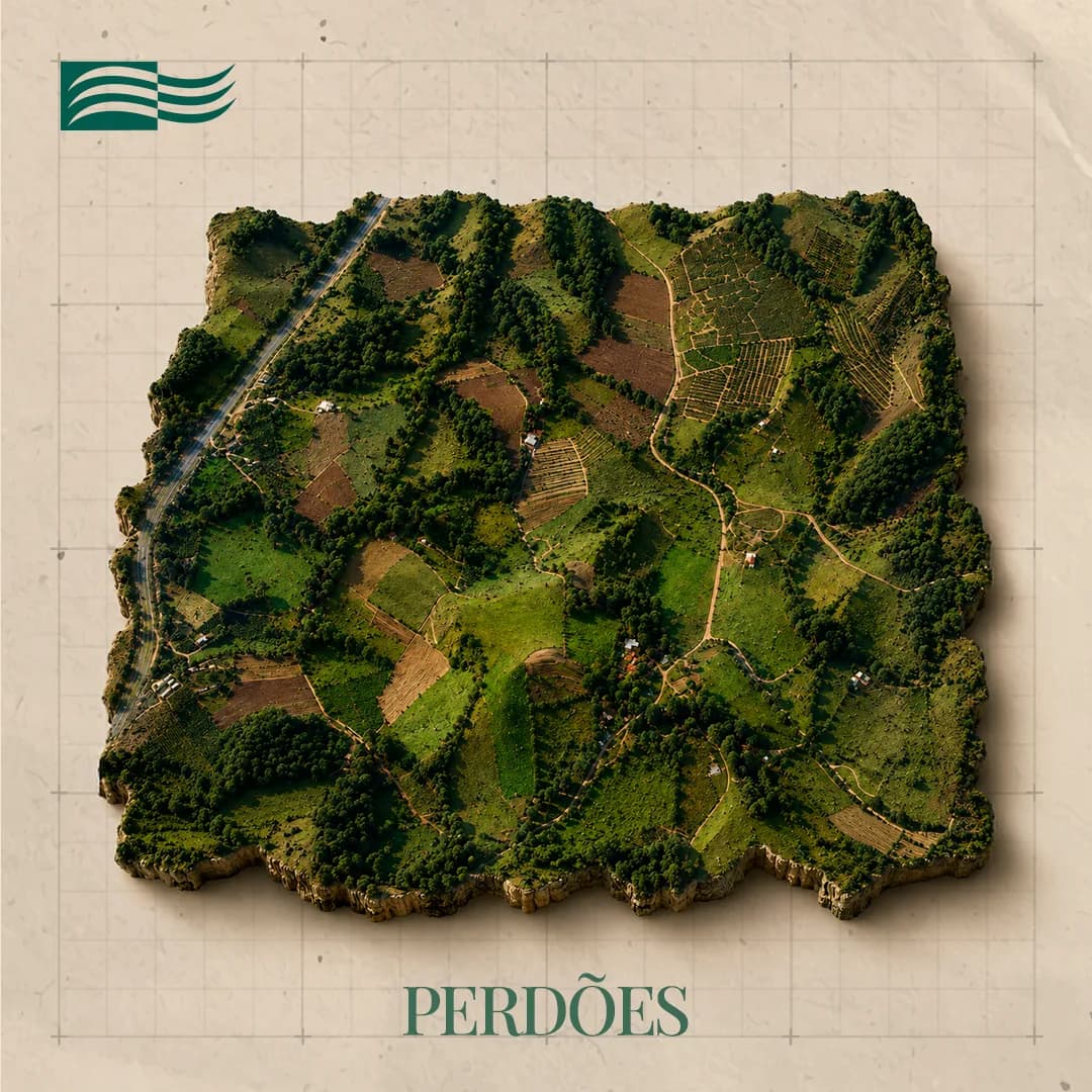Vista aérea do Projeto Perdões