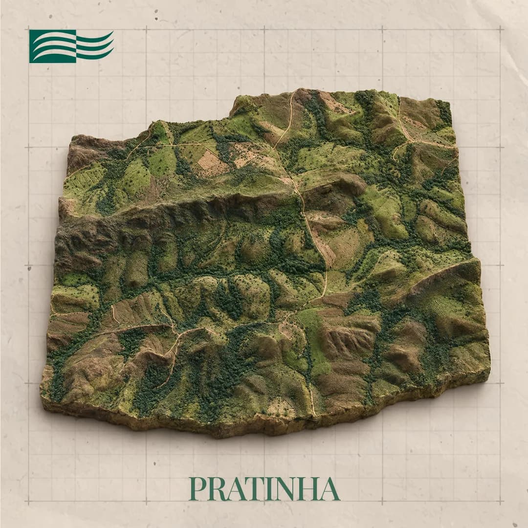 Aerial view of the Pratinha project