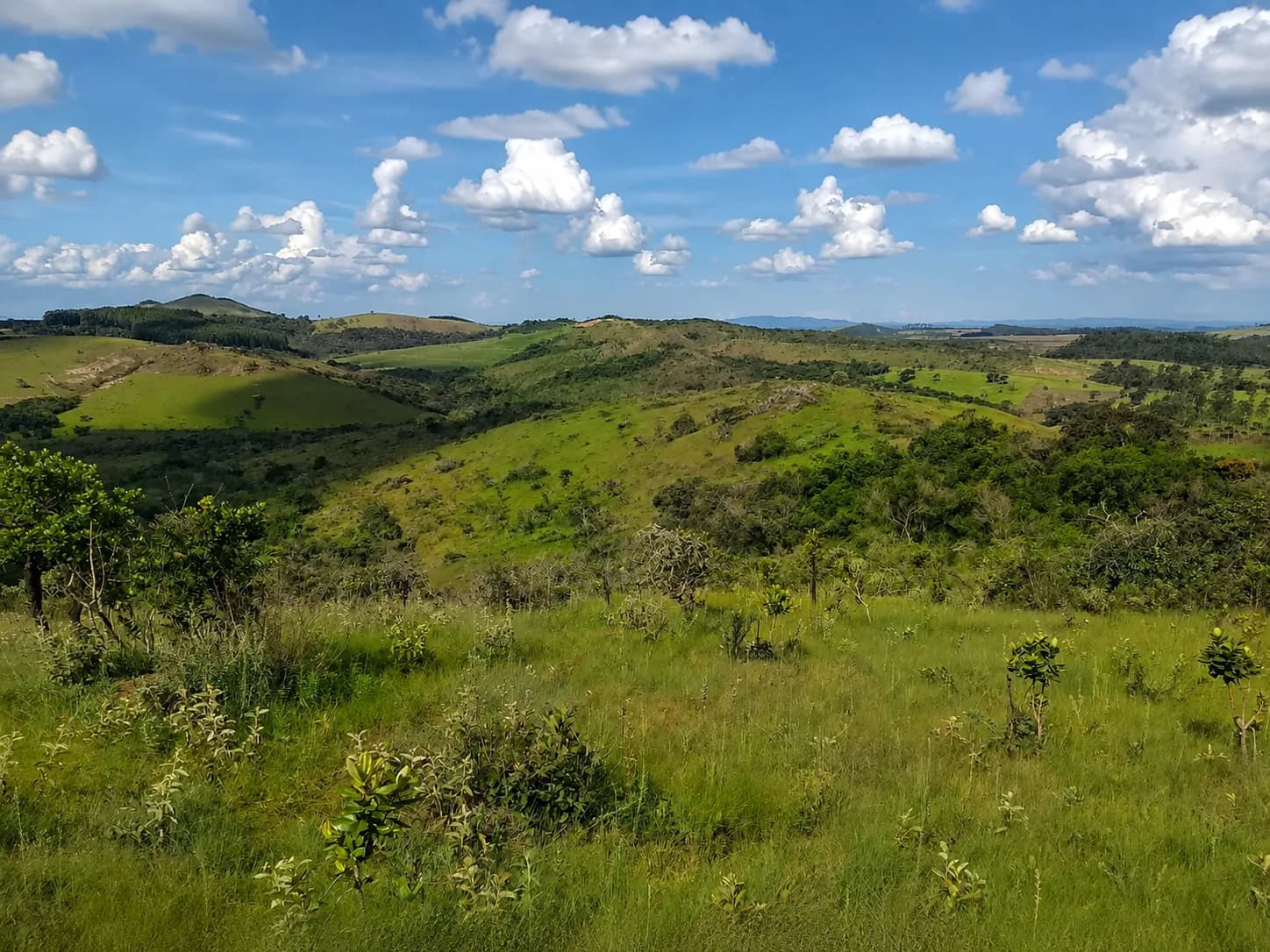 Paisagem de serra e pastagem no entorno de área de projeto no Quadrilátero Ferrífero